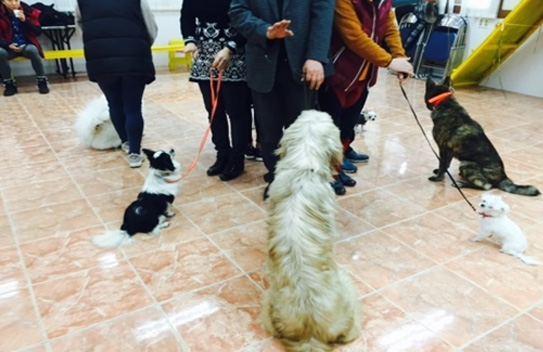 선린대학교 반려동물학과