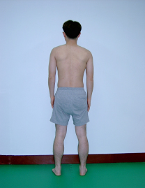 바로선자세의 후면