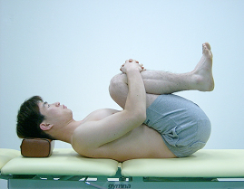 척추 후방 조직의 신장 운동