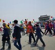 2016.04.30 경북 치매극복 가족걷기대회
