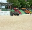 2016.05.13 줄다리기 예선전