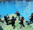 2018년9월 14일~16일 SSI Open,water,advanced자격증 취득!!