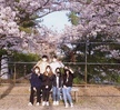 시스터브라더 벚꽃 사진 대회 참가자(2021.04.09 Sister&Brother)