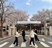 선린시브 베스트 _벚꽃 콘테스트 (2023.04.03)