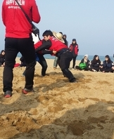 2015 MT (3)