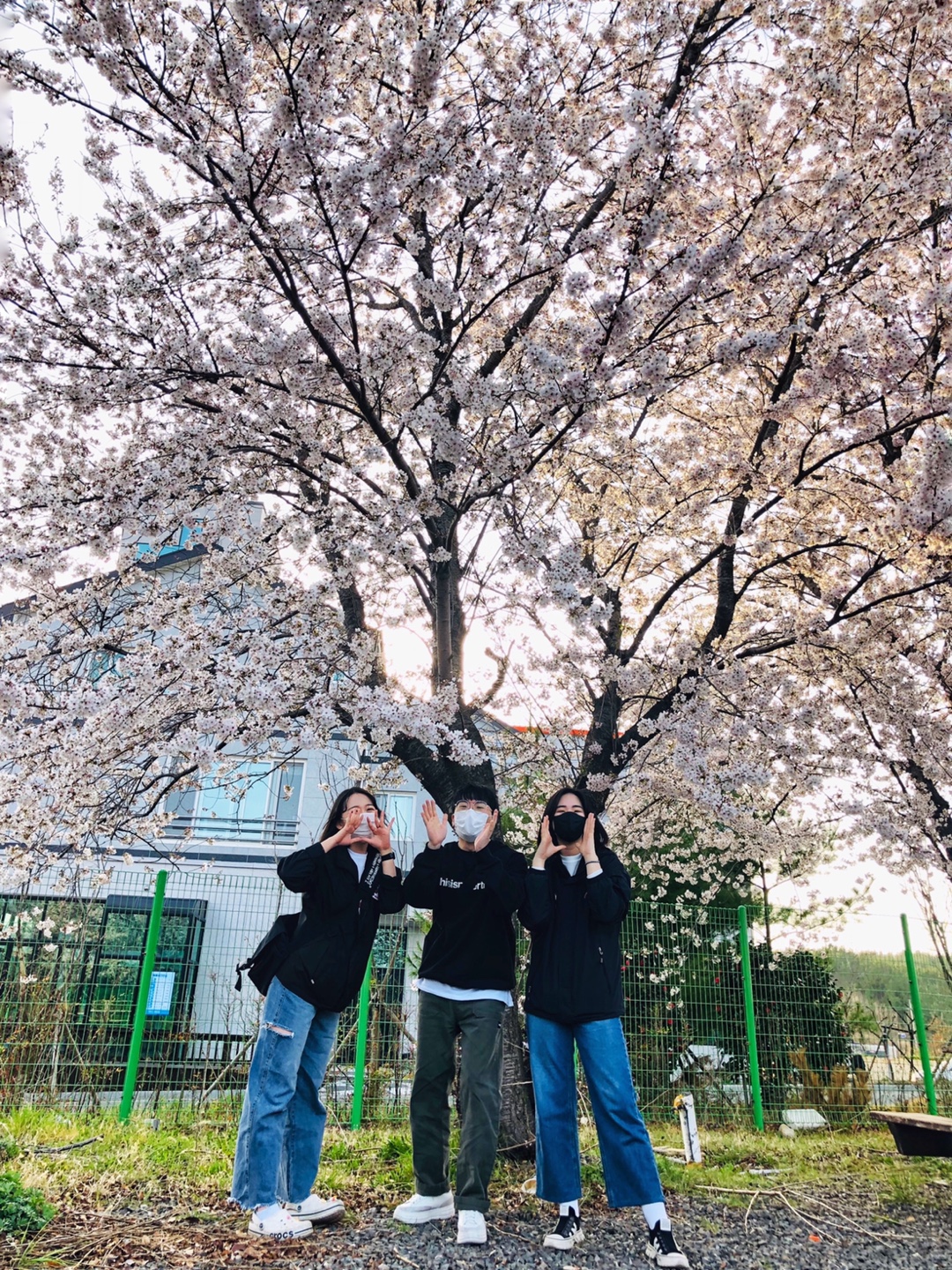 KakaoTalk_20210409_203540362_16.jpg