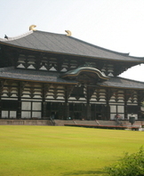 2009 해외현장 실습