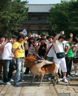 2009 해외현장 실습