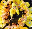 2016년도 경주 MT