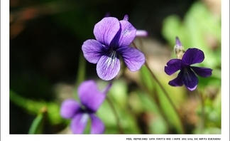 사용자 등록 이미지